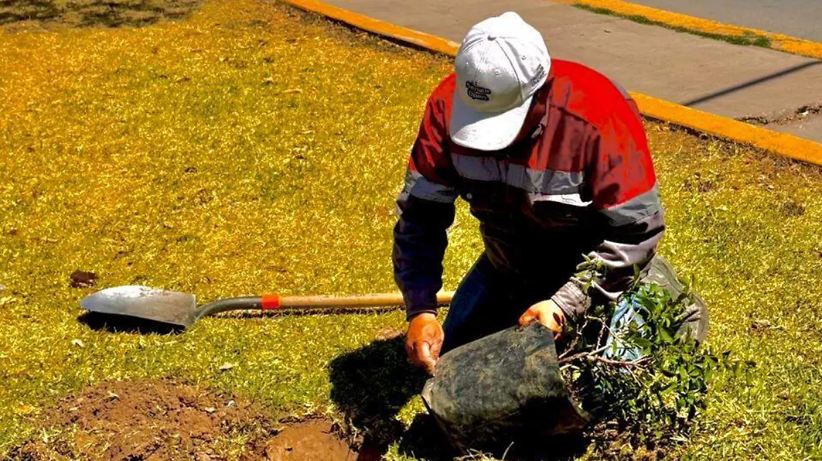 WhatsApp Image 2026-03-24 at 1.18.04 PM