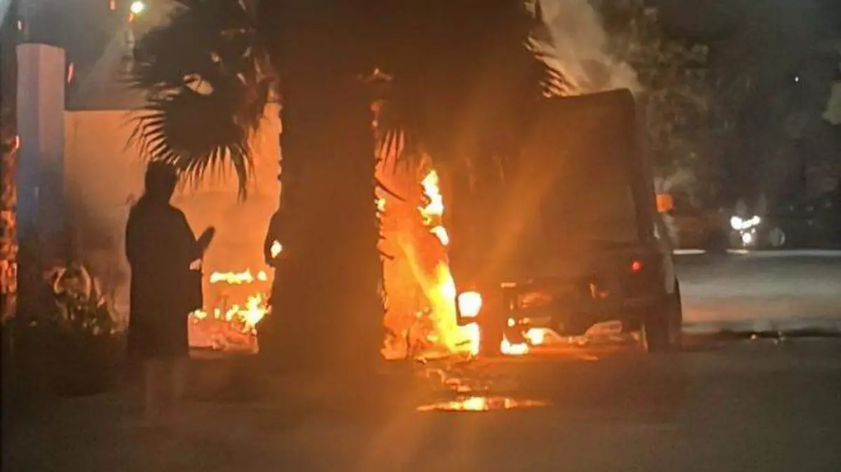 WhatsApp Image 2026-03-25 at 10.47.25 AM