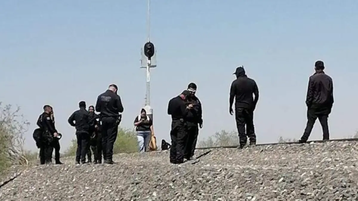 WhatsApp Image 2026-03-26 at 16.21.53