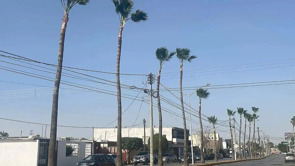 Medidas Portada CUE (26)