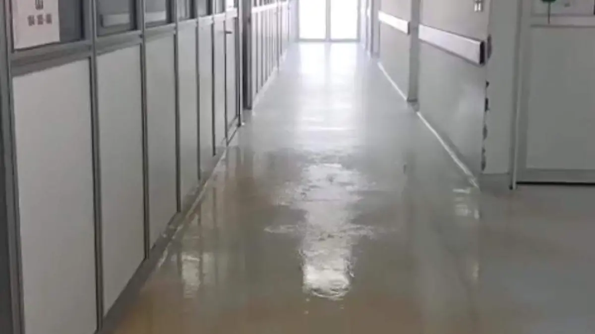 WhatsApp Image 2026-03-27 at 18.22.56