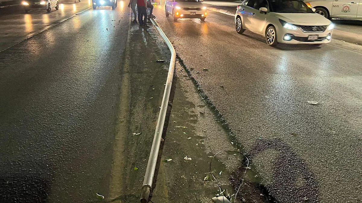 WhatsApp Image 2026-03-27 at 20.18.22