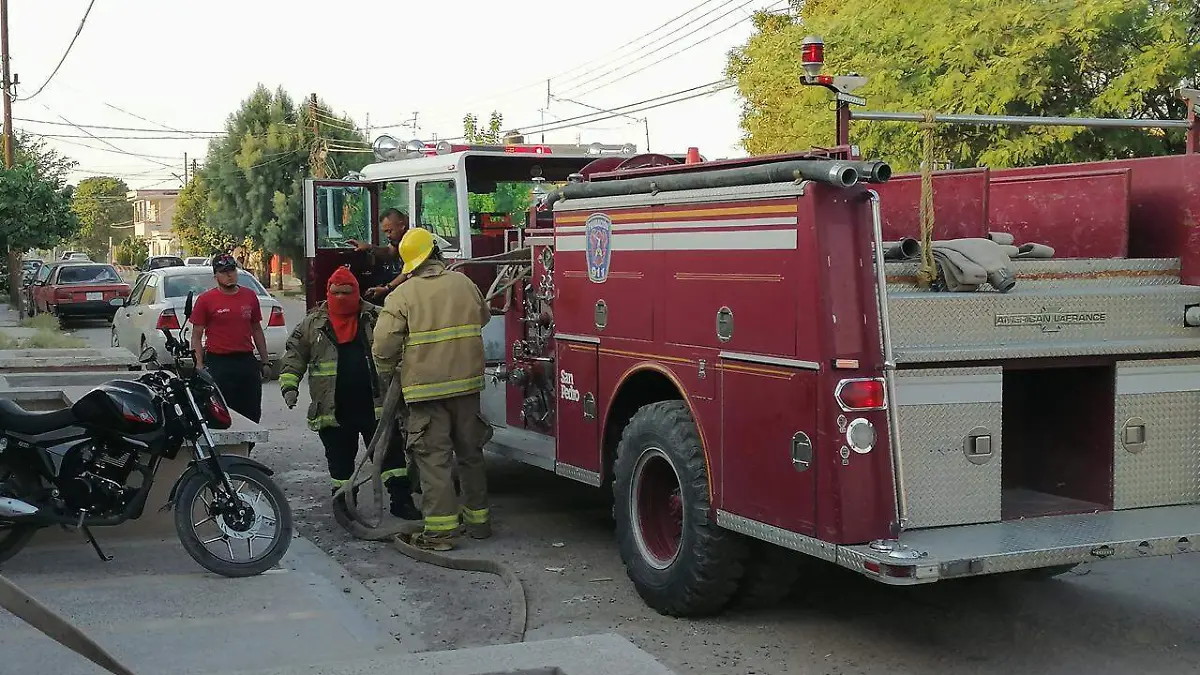 WhatsApp Image 2026-03-30 at 23.52.49