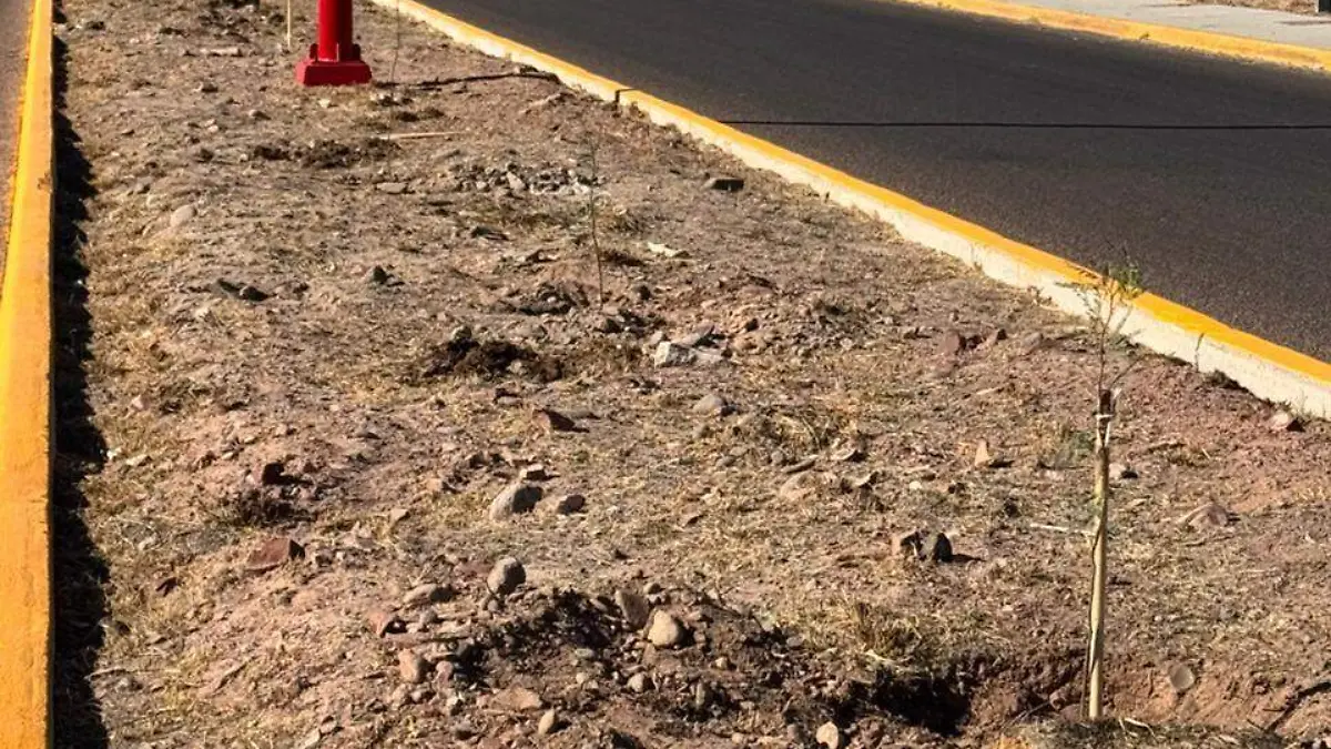 WhatsApp Image 2026-03-31 at 17.59.33 (1)