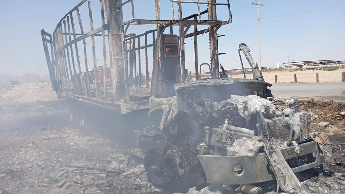 WhatsApp Image 2026-03-31 at 18.21.45