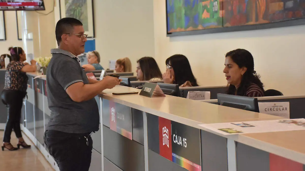 WhatsApp Image 2026-03-31 at 19.05.04