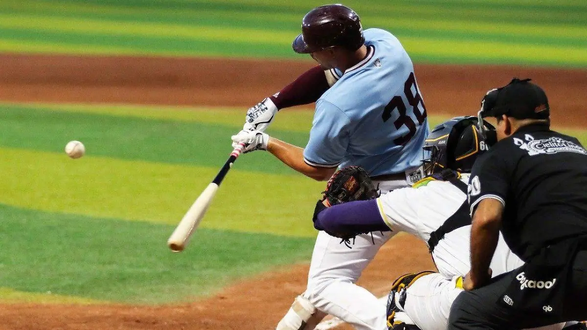 WhatsApp Image 2026-03-31 at 23.20.04