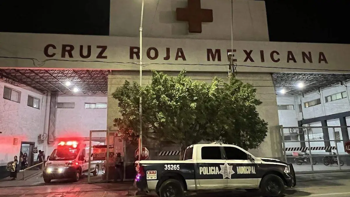 WhatsApp Image 2026-04-01 at 10.12.34