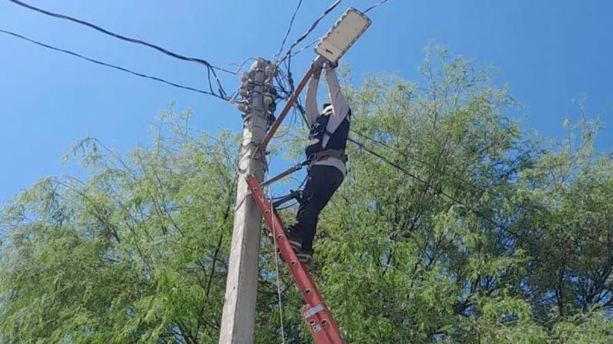 WhatsApp Image 2026-04-01 at 11.05.28