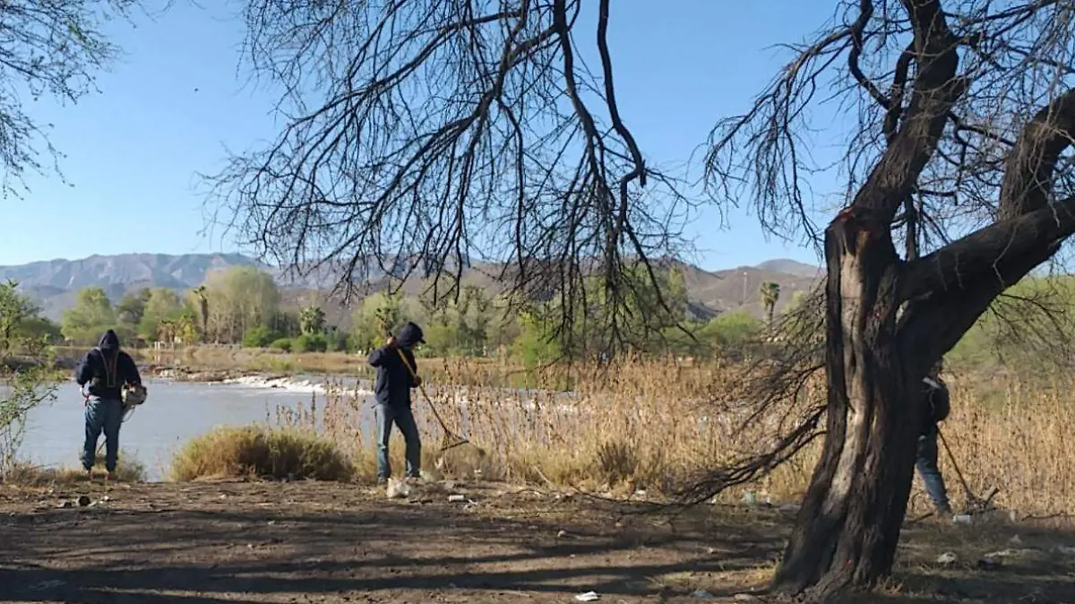 WhatsApp Image 2026-04-01 at 11.40.55