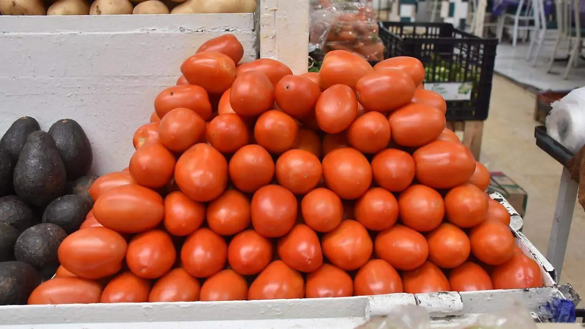 WhatsApp Image 2026-04-01 at 3.33.03 PM