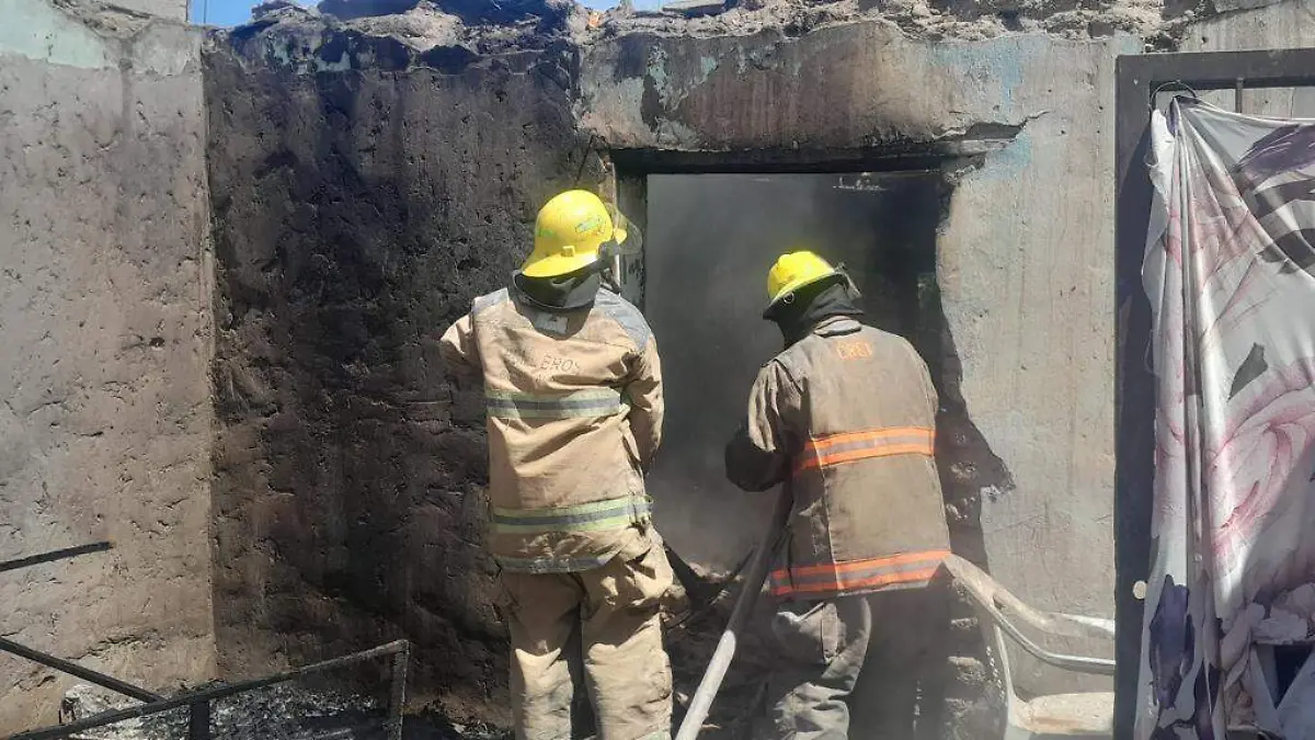 WhatsApp Image 2026-04-01 at 6.22.05 PM