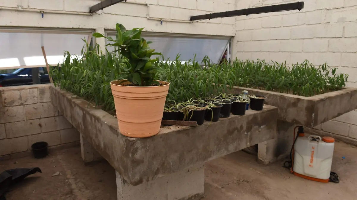 c2bfad5b-43ca-4517-a082-17a251255d2a