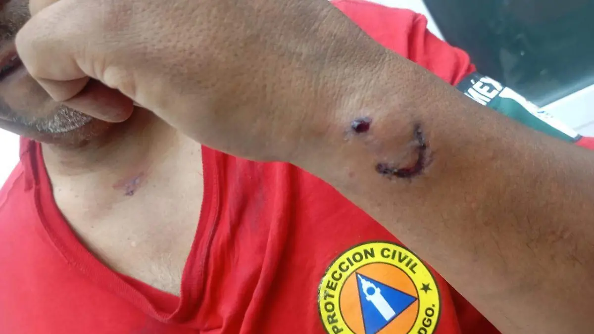 WhatsApp Image 2026-04-02 at 22.25.07