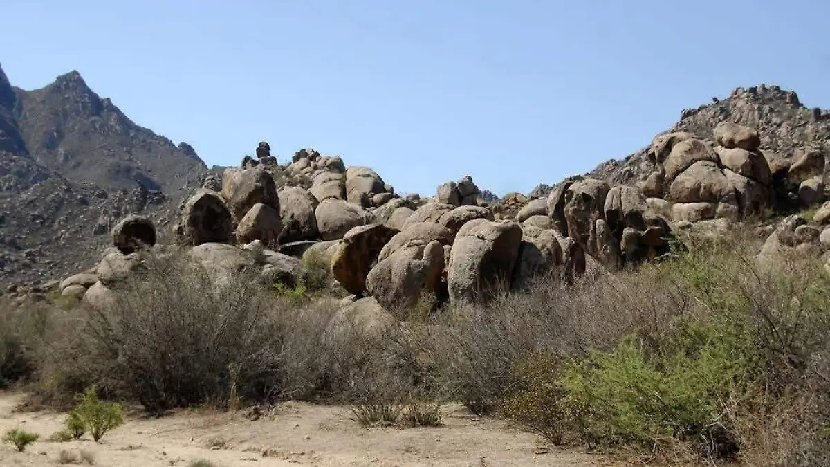 WhatsApp Image 2026-04-03 at 12.45.40