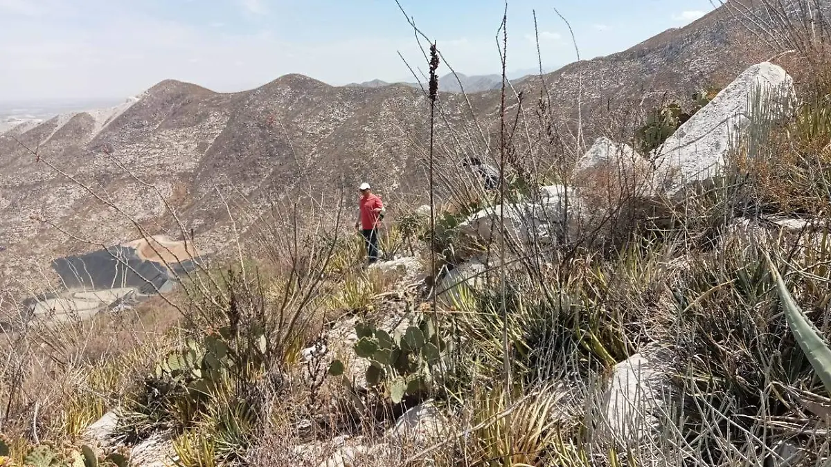 WhatsApp Image 2026-04-03 at 14.29.40