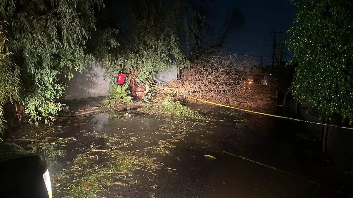 WhatsApp Image 2026-04-04 at 10.51.39 PM