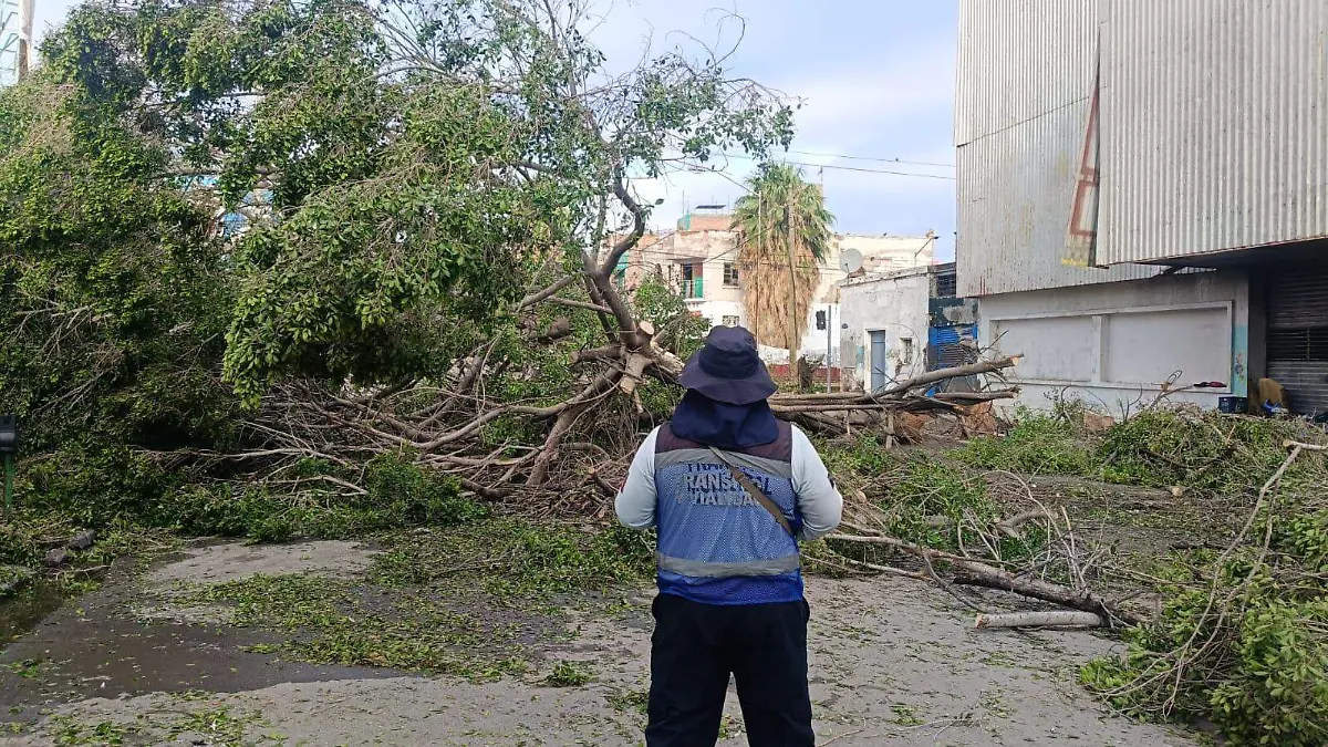 WhatsApp Image 2026-04-05 at 09.54.09