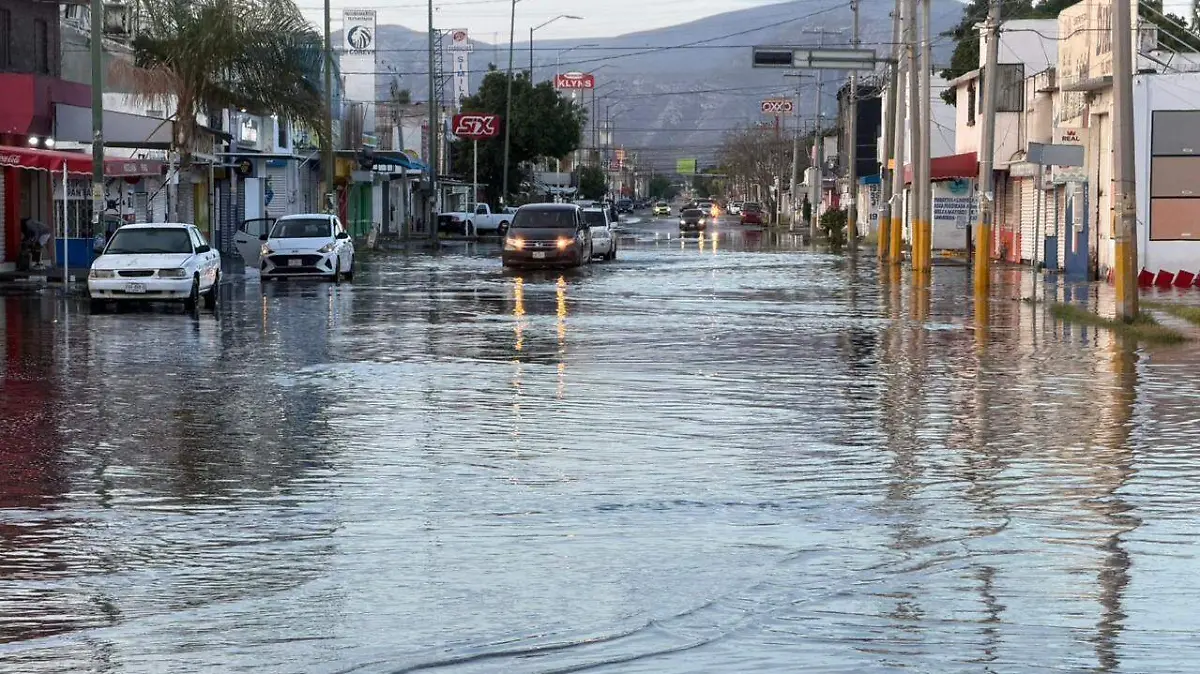 WhatsApp Image 2026-04-05 at 10.54.27