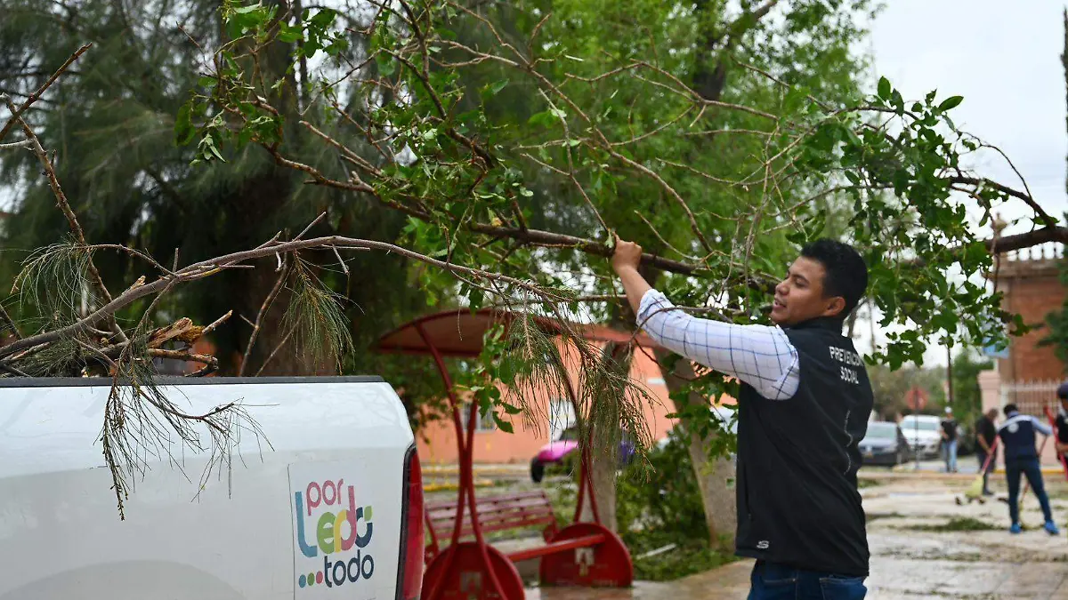 WhatsApp Image 2026-04-05 at 11.29.20