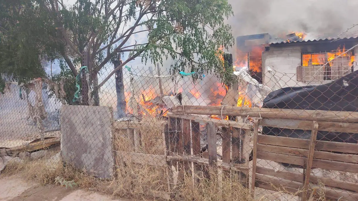 WhatsApp Image 2026-04-05 at 09.55.07