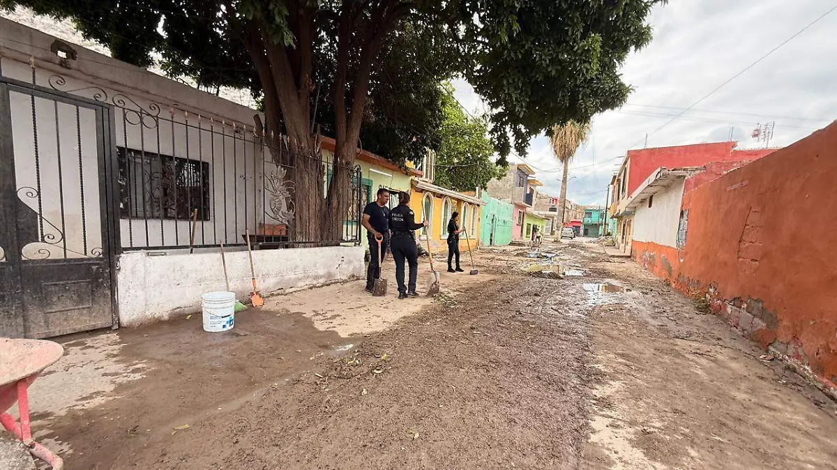 WhatsApp Image 2026-04-05 at 15.17.25