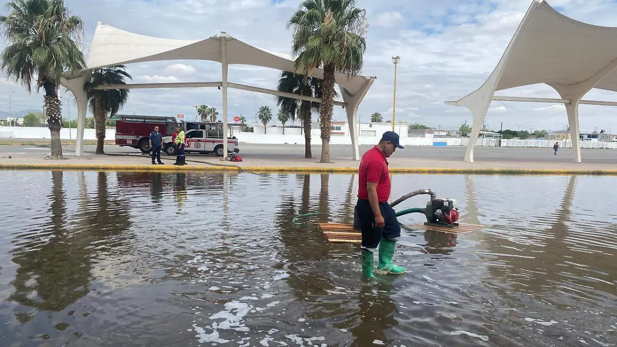 e32b65fd-303f-4626-8112-c3ce073dc7b1