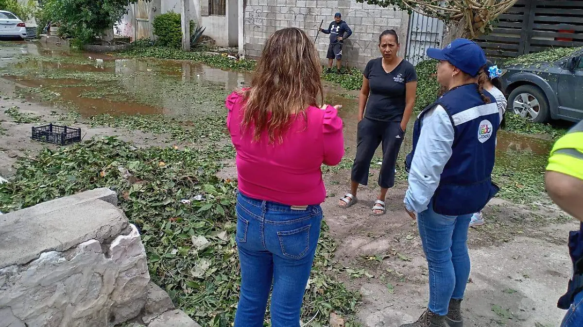 WhatsApp Image 2026-04-06 at 11.31.49