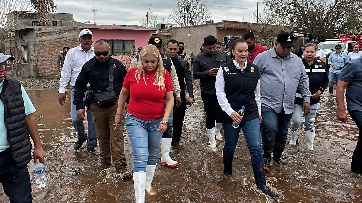 14d79c53-a6cb-481e-b74c-3ee5e0ae0e90