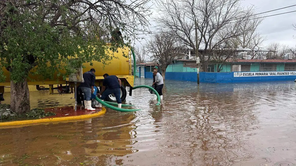 WhatsApp Image 2026-04-07 at 11.26.15