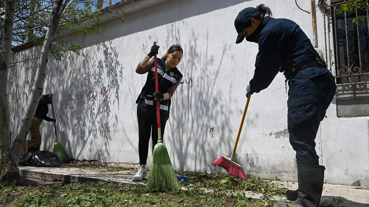 WhatsApp Image 2026-04-07 at 11.26.17