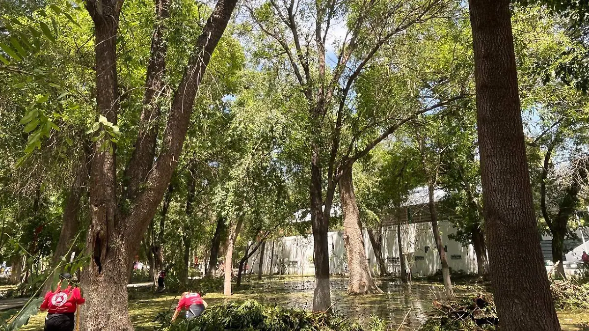 Parque Victoria inundado en Lerdo