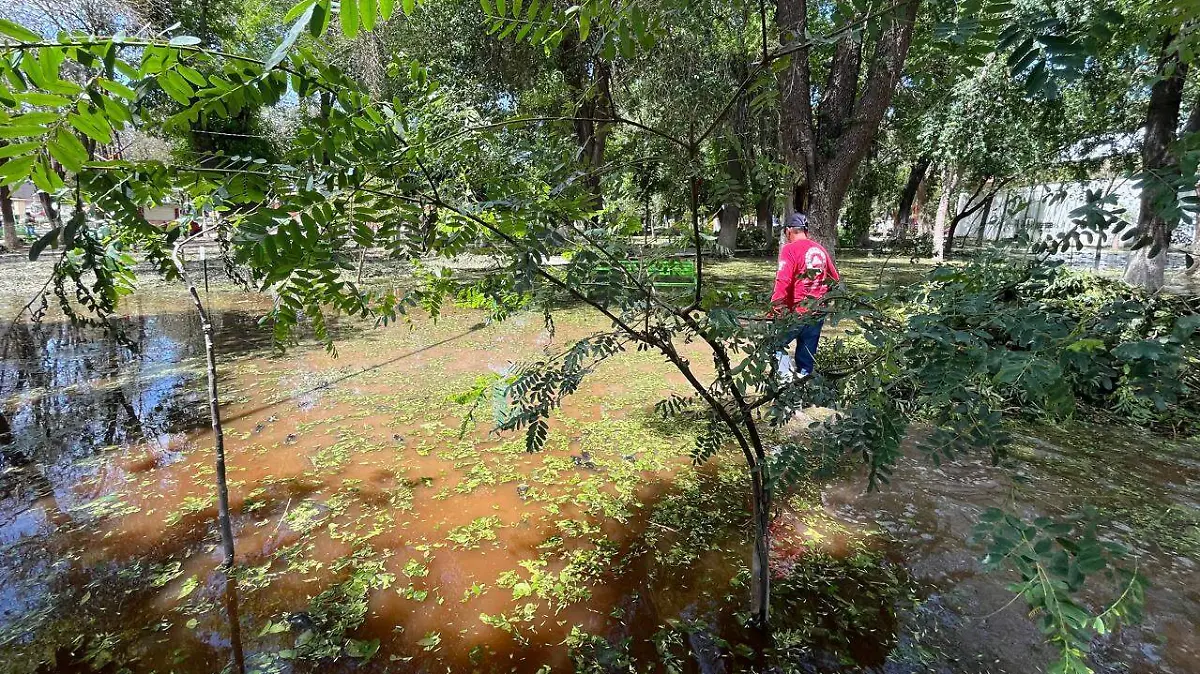 Parque Victoria inundado en Lerdo