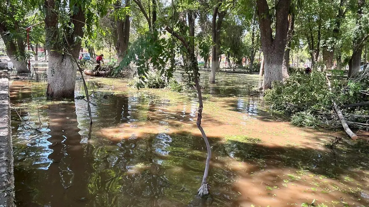 2e92471d-1b76-42b7-81da-526eebaa5cd0