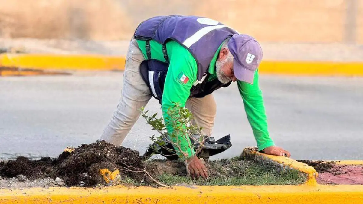 WhatsApp Image 2026-04-08 at 12.32.00