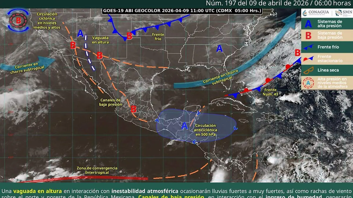 WhatsApp Image 2026-04-09 at 09.30.20