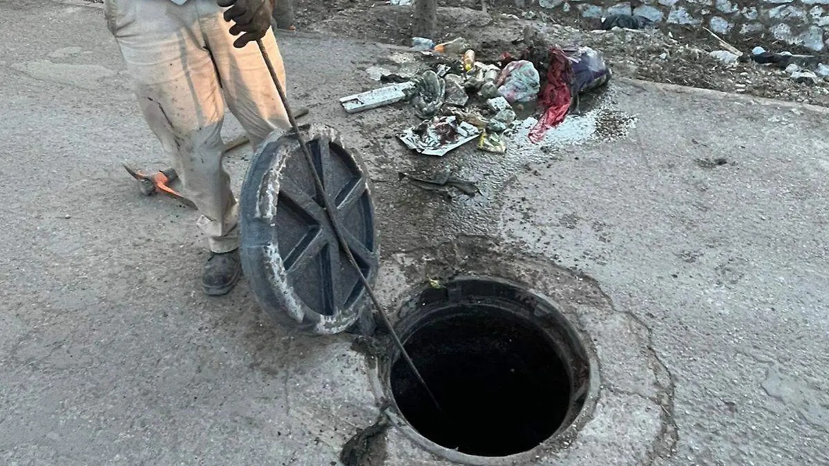 WhatsApp Image 2026-04-09 at 12.01.09