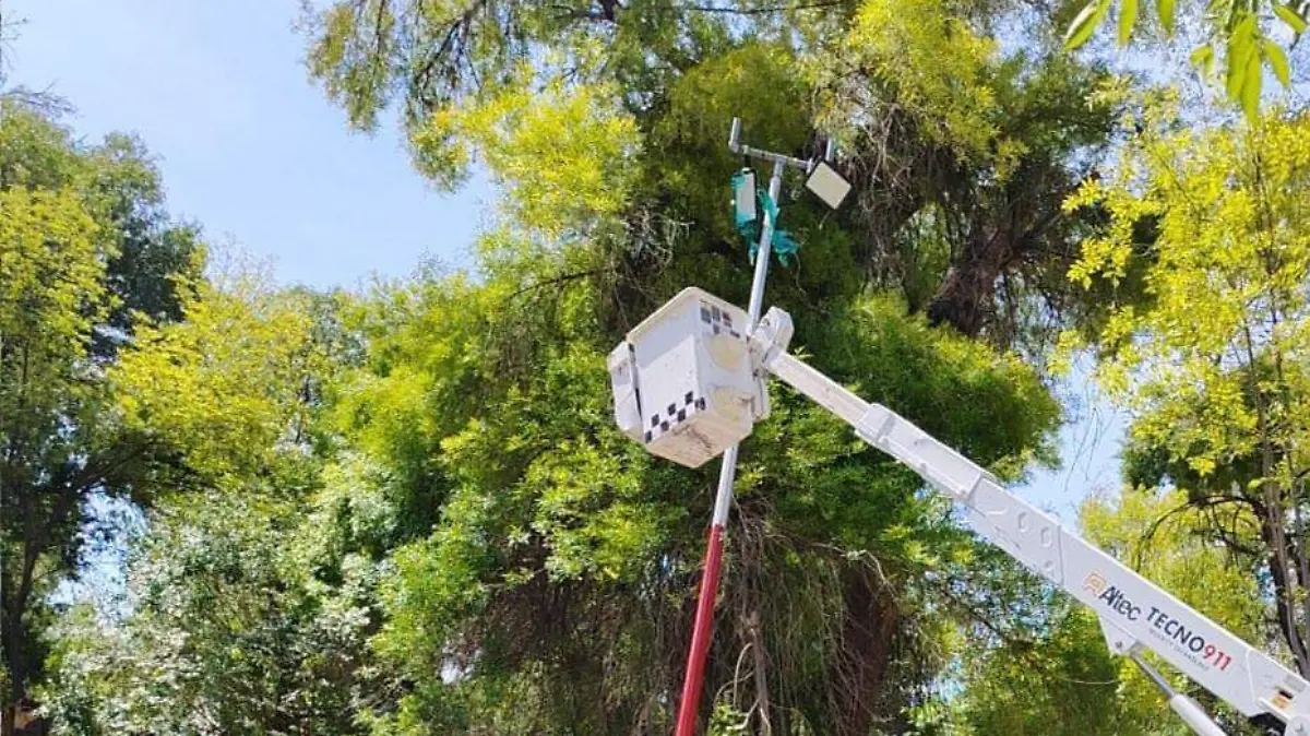 WhatsApp Image 2026-04-09 at 12.01.08