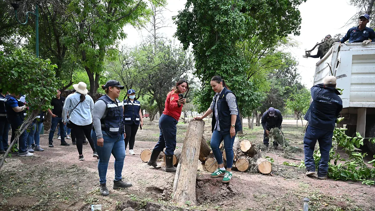 WhatsApp Image 2026-04-09 at 12.10.28