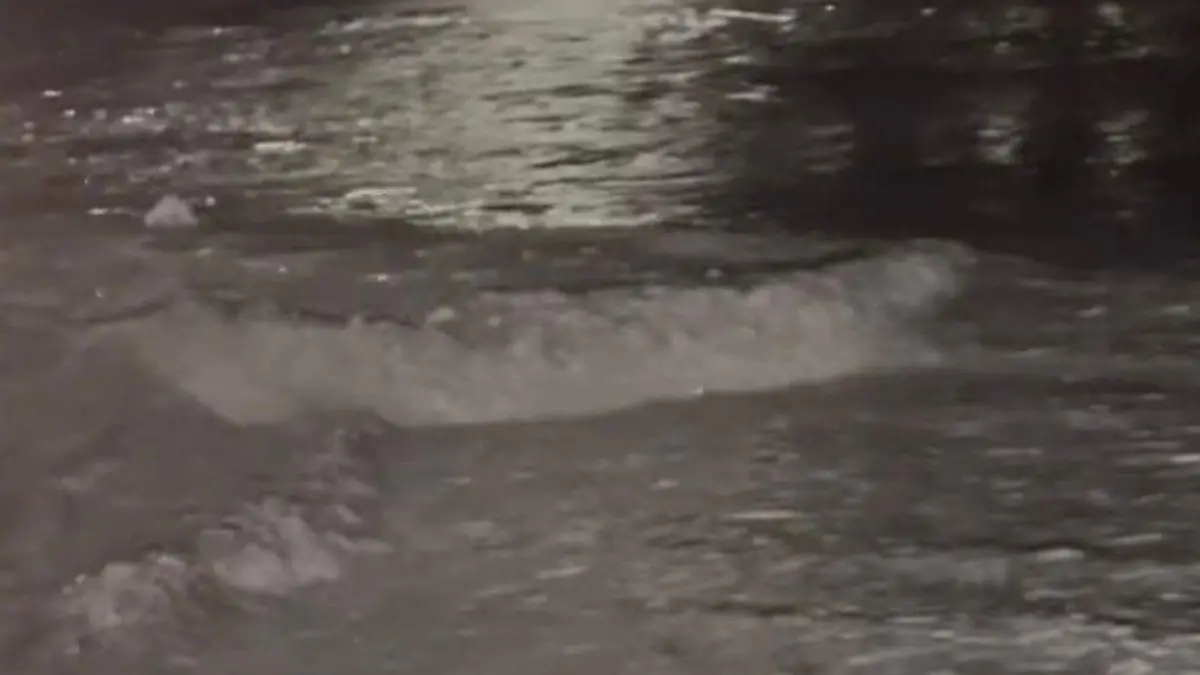 WhatsApp Image 2026-04-09 at 11.10.58 PM