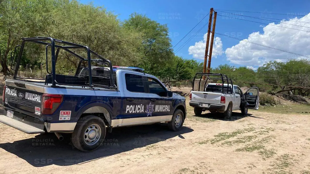 WhatsApp Image 2026-04-10 at 14.20.37