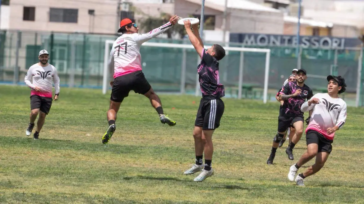 WhatsApp Image 2026-04-11 at 2.21.27 PM