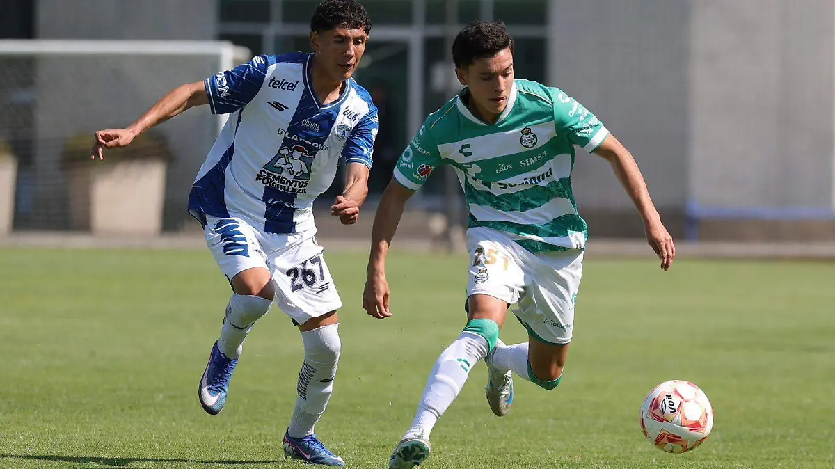 WhatsApp Image 2026-04-11 at 3.05.16 PM