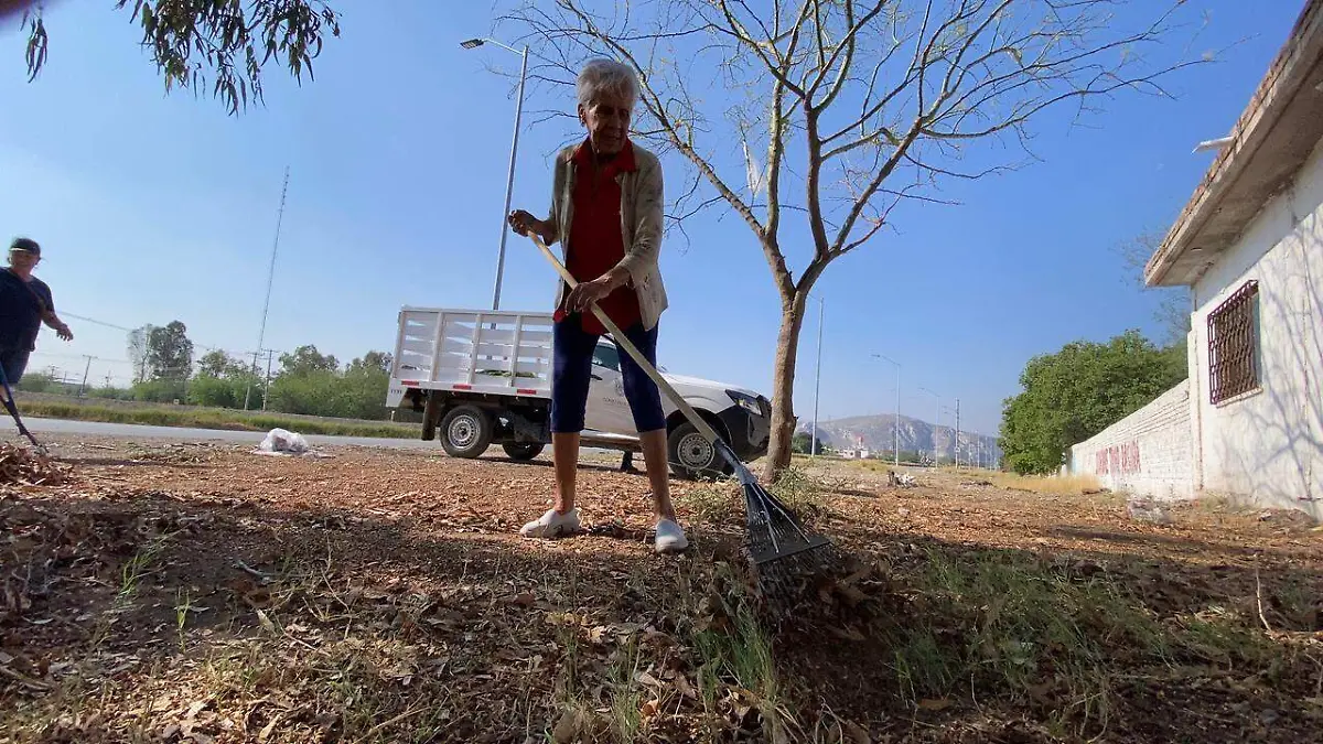 WhatsApp Image 2026-04-11 at 5.20.09 PM