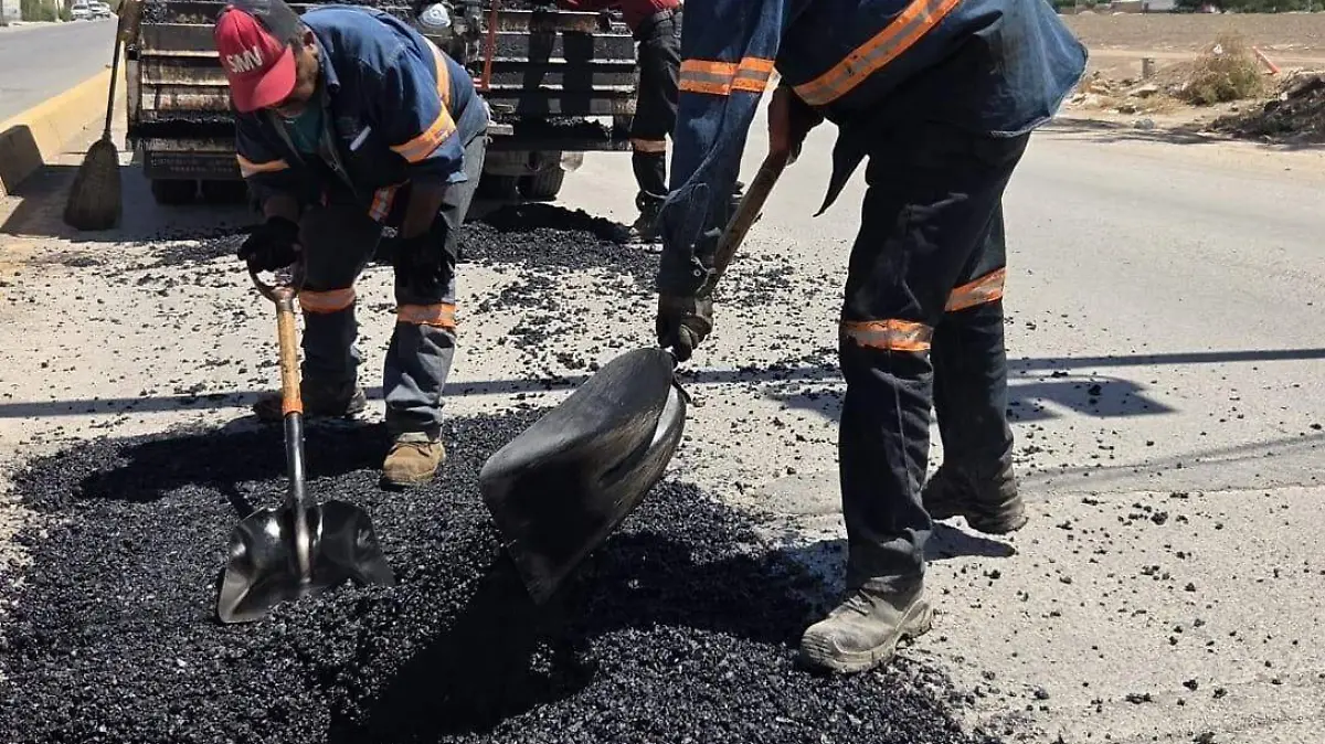 WhatsApp Image 2026-04-12 at 10.54.23