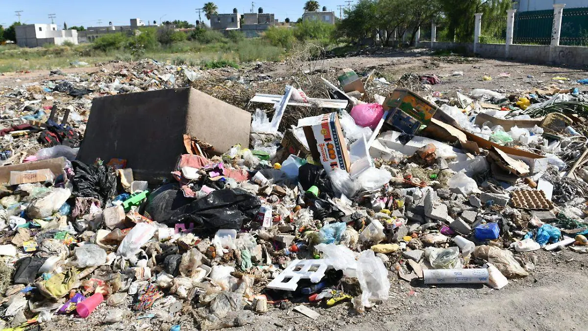 WhatsApp Image 2026-04-13 at 11.15.31