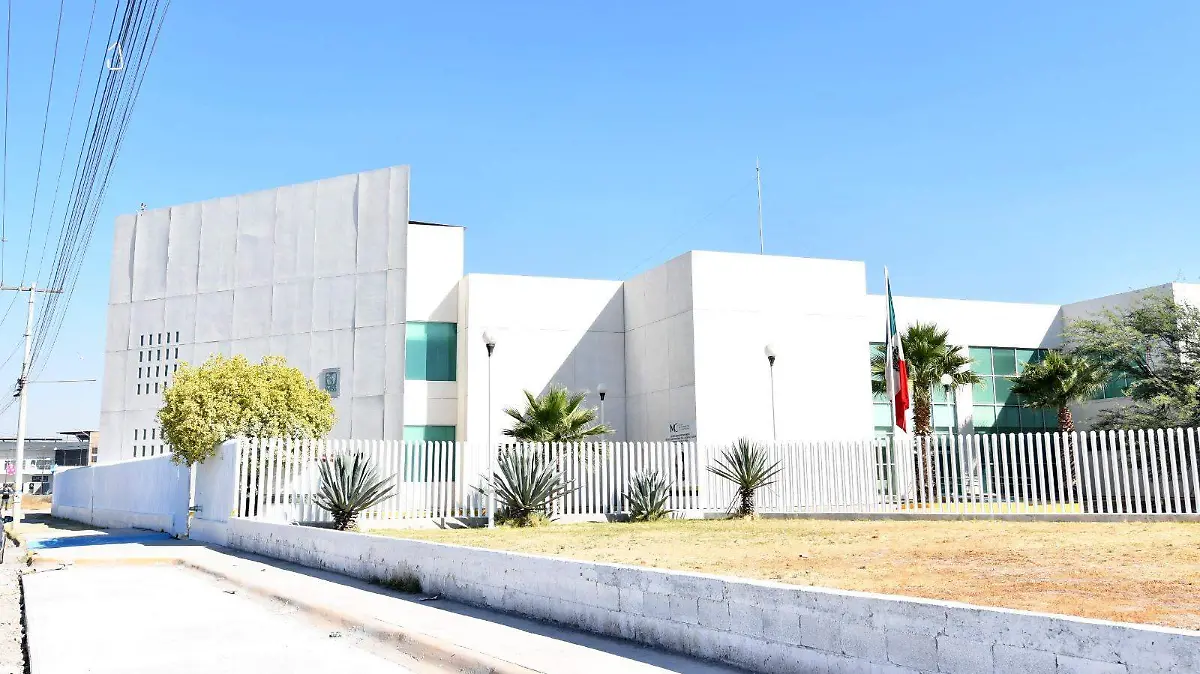 WhatsApp Image 2026-04-13 at 13.17.09