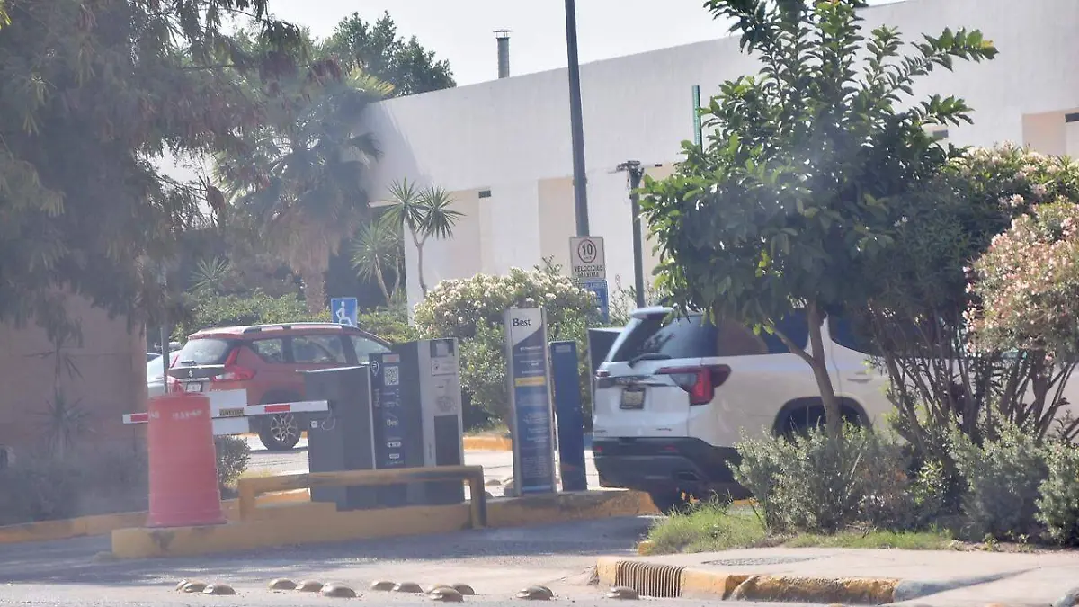 WhatsApp Image 2026-04-14 at 09.35.21