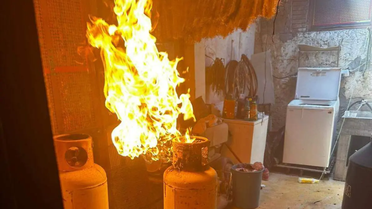 WhatsApp Image 2026-04-14 at 10.29.58