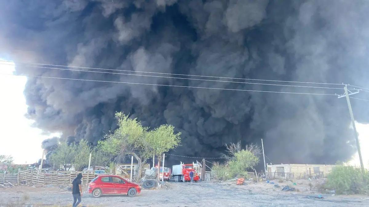 WhatsApp Image 2026-04-14 at 11.26.50 AM